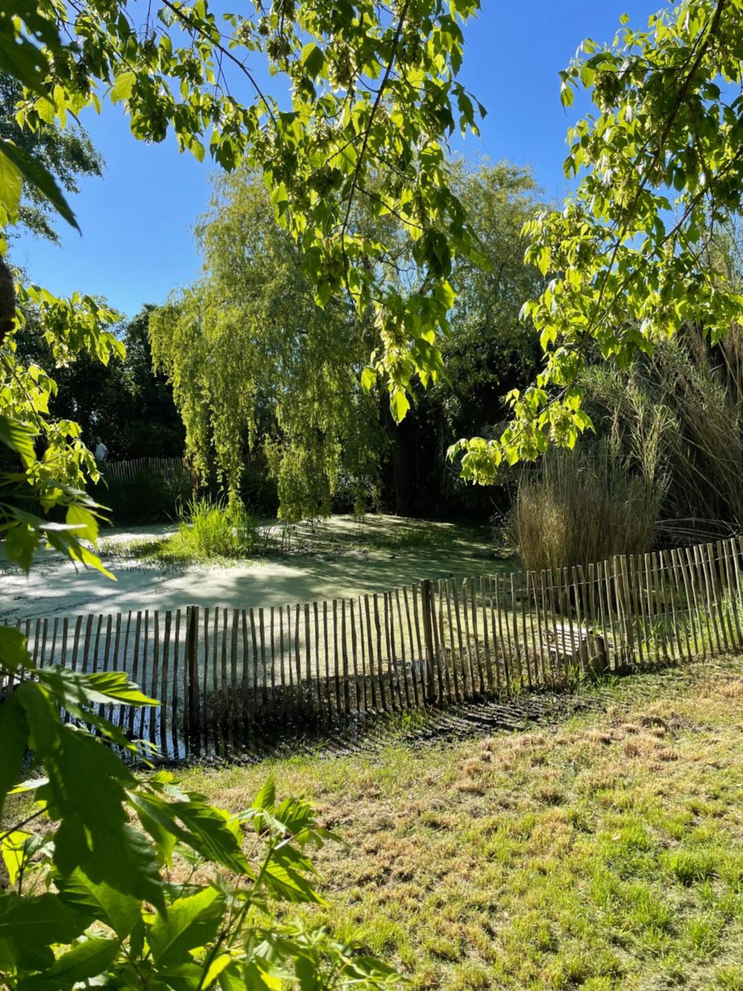 Instant Zen Saint-Vivien-de-Médoc Exterior foto